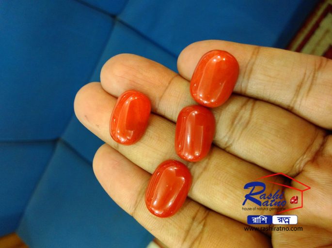 Japanese Shape Red Coral Stone (Italian)